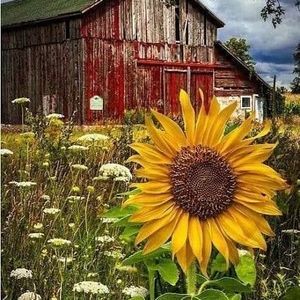 Meet your Posher, Brenda